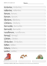 DSS_2S_Bu_her_Nr_02.pdf